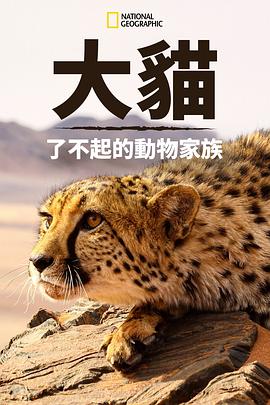 《猫科动物：奇妙的动物家族》海报
