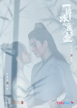 《一片冰心在玉壶》海报