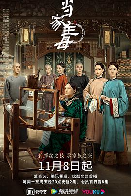 《当家主母》海报