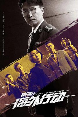 《刑警之海外行动》海报