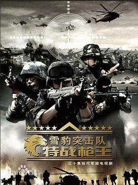 《雪豹突击队之特战枪王》海报