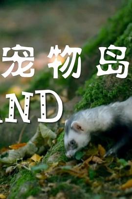 《宠物岛》海报
