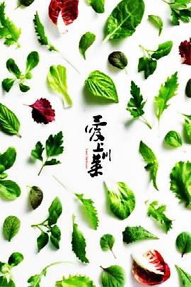 《爱上川菜》海报