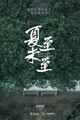 《夏至未至》海报