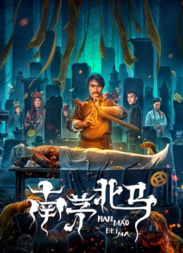 《南茅北马》海报