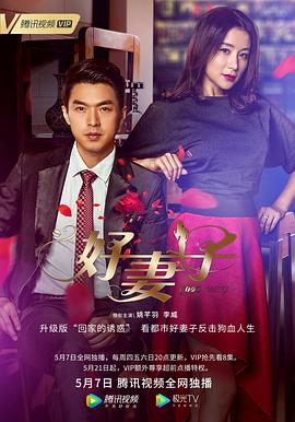 《好妻子》海报