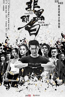 《非黑即白》海报