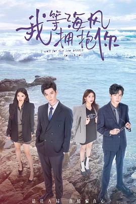 《我等海风拥抱你》海报