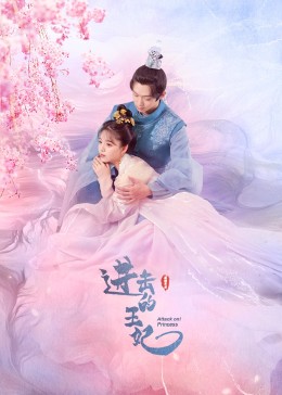 《进击的王妃》海报
