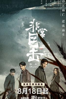 《非常目击》海报
