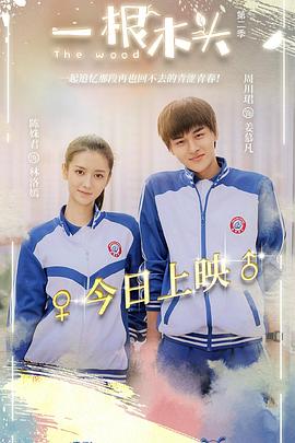 《一根木头 第二季》海报
