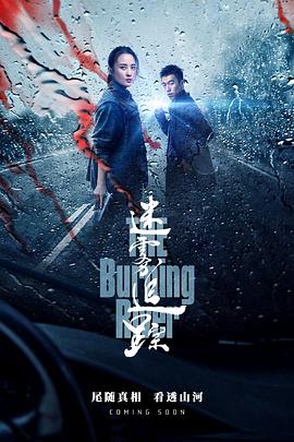 《迷雾追踪》海报