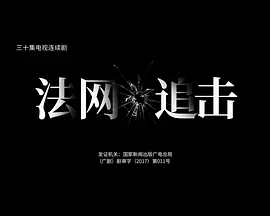 《法网追击》海报