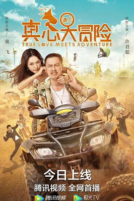 《真心遇上大冒险》海报