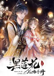 《黑莲花攻略手册第二季》海报