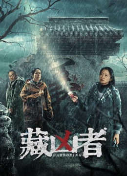 《藏凶者》海报