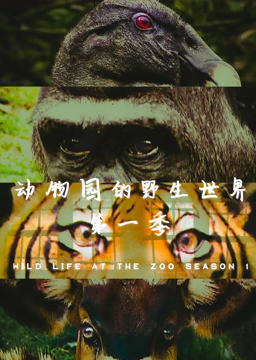 《动物园的野生世界 第一季》海报
