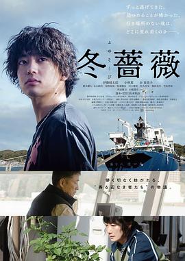 《冬蔷薇》海报