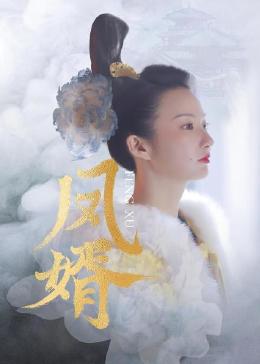 《凤婿》海报