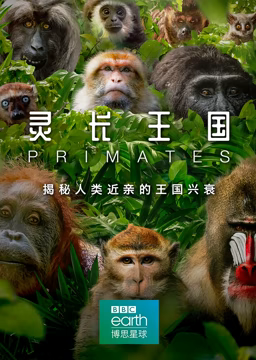《灵长王国》海报