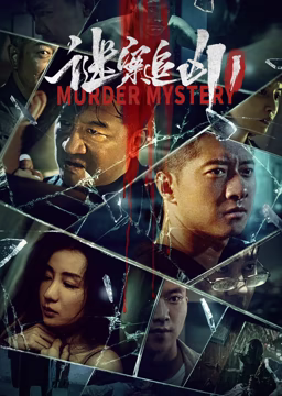 《谜案追凶1》海报