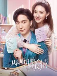 《从离婚开始的爱情》海报