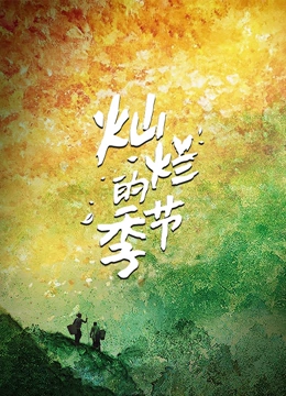 《灿烂的季节》海报