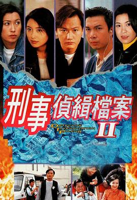 《刑事侦缉档案2》海报