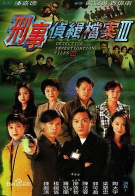 《刑事侦缉档案3》海报