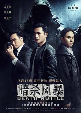 《暗杀风暴普通话版》海报