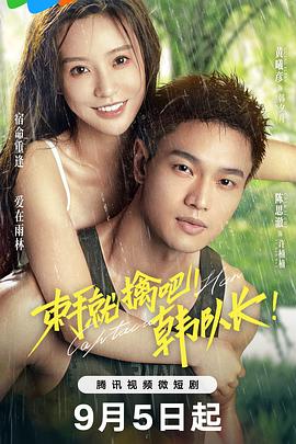 《束手就擒吧！韩队长》海报