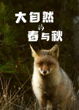 《大自然的春与秋》海报