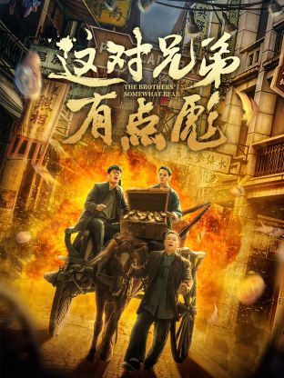 《这对兄弟有点彪》海报