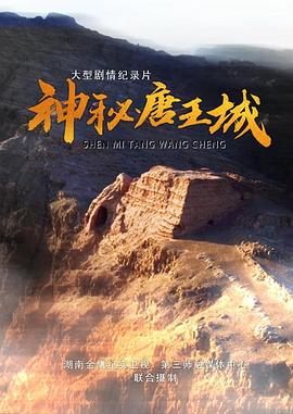 《神秘唐王城》海报