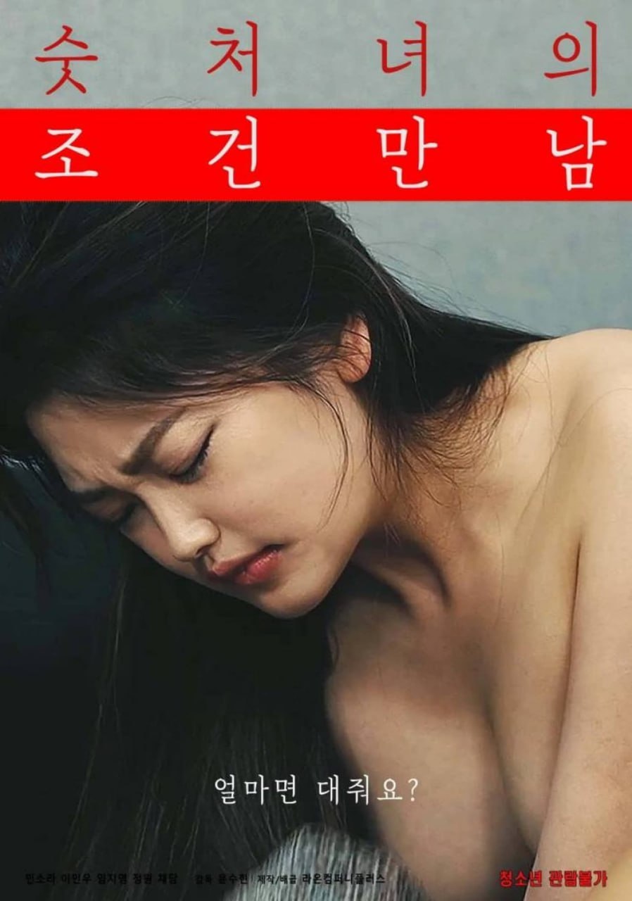 《处女作家的初体验》海报