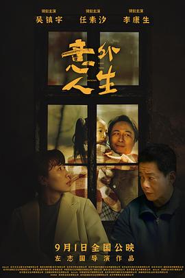 《意外人生》海报