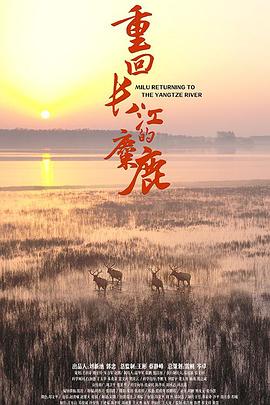 《重回长江的麋鹿》海报