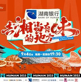 《去“湘”当有味的地方》海报