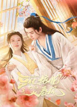 《豆花依旧笑春风》海报