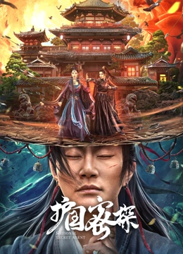 《护国密探》海报