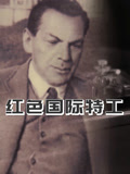《红色国际特工》海报