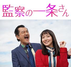 《监察的一条先生》海报