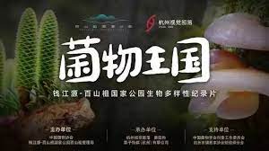 《菌物王国》海报