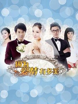 《因为爱情有多美》海报