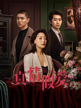 《真情假爱》海报