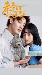 《秦爷的小哑妻》海报
