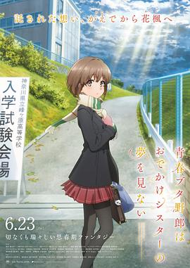 《青春期猪头少年不会梦到娇怜外出妹》海报
