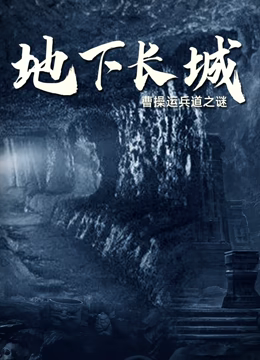《地下长城》海报