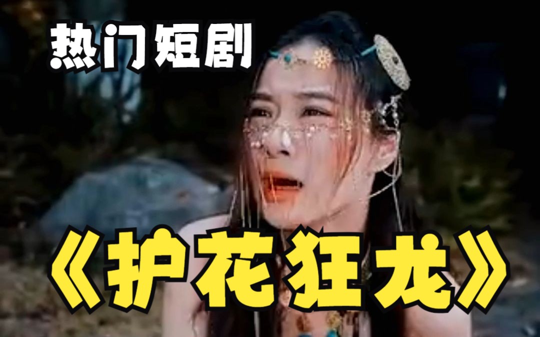 《护花狂龙》海报
