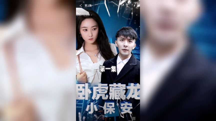 《藏龙》海报